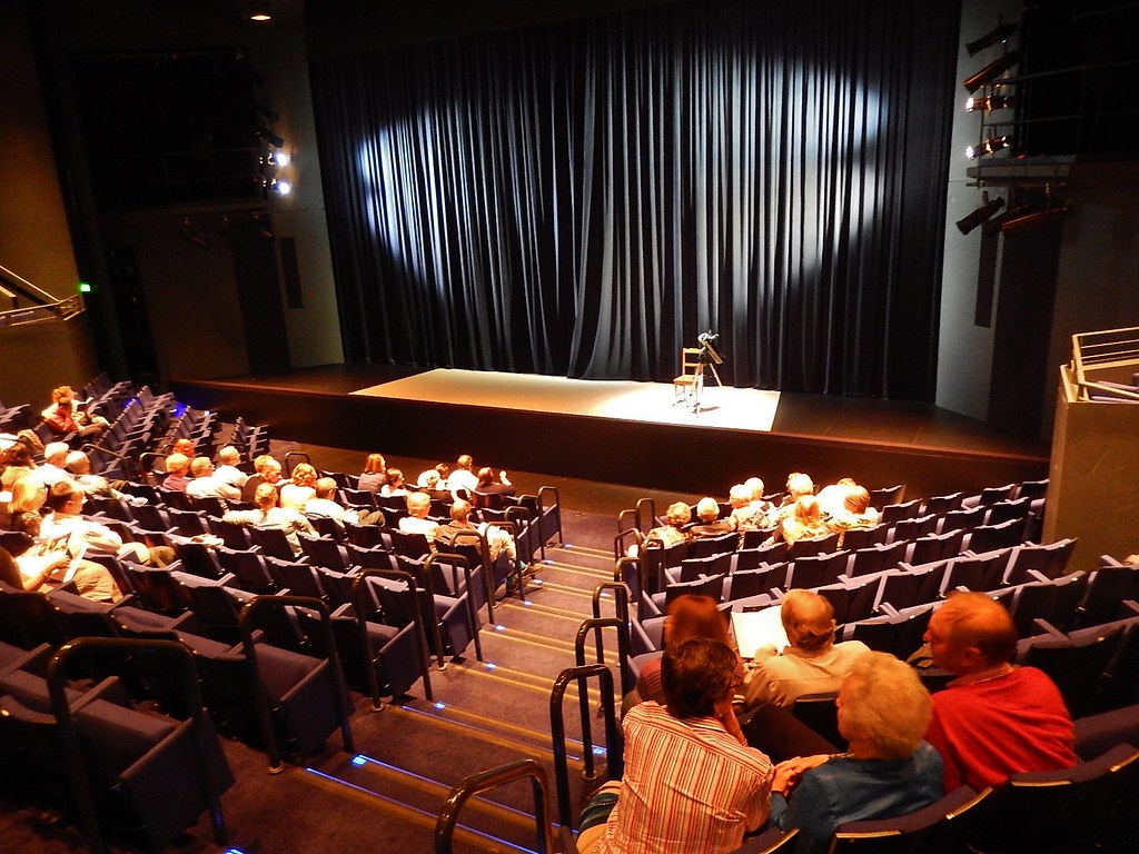 An audience enjoying a live show